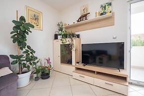 House Mimica