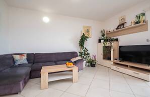 House Mimica