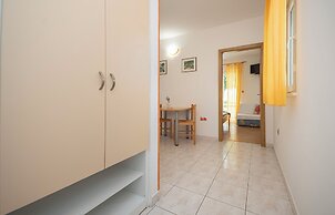 House Mimica