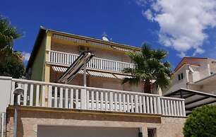 Apartment Palm Tree