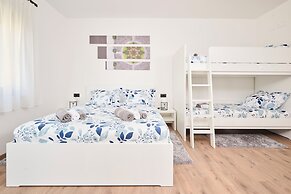 House Tinis