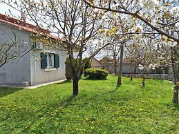House Anteana