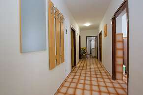 Apartments Rasic