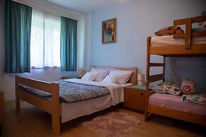 House Zeleni Brig