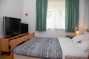 House Zeleni Brig