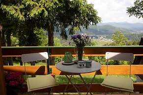 House Zeleni Brig