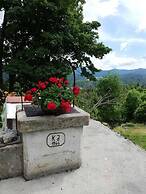 House Zeleni Brig