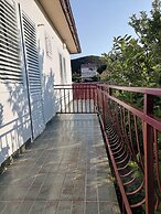 Apartments Poldan