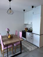 Apartments Damir