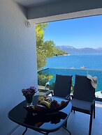 Apartments Damir