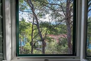 Apartments Jase