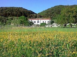 House Viskic