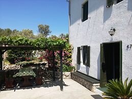House Viskic