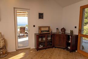 House Vicko