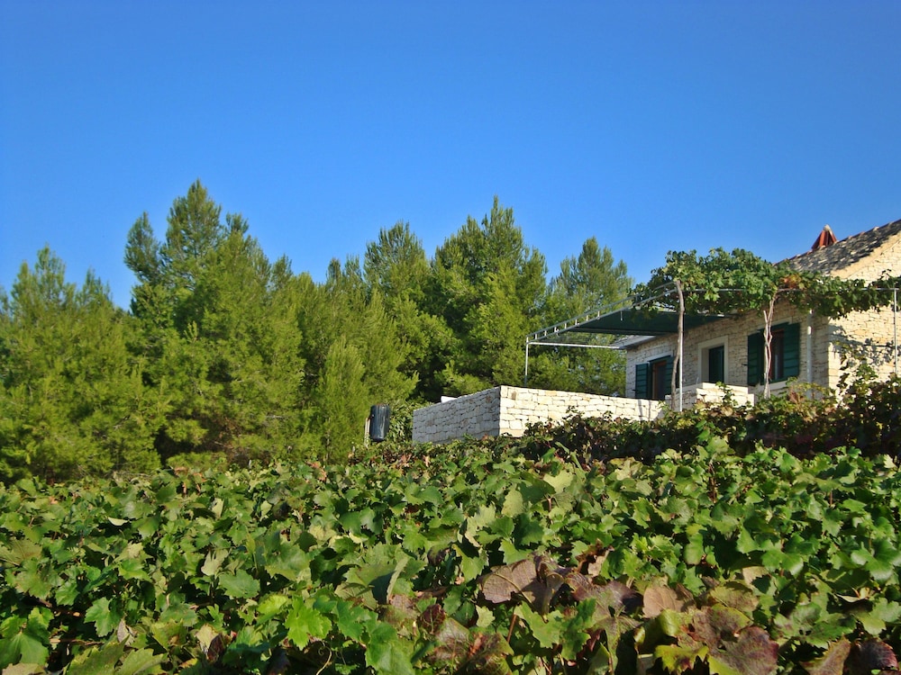 House Krunoslav
