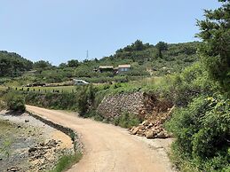 House Ivica