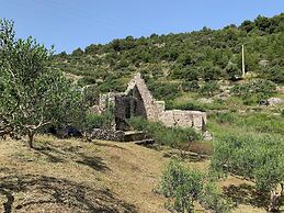 House Ivica