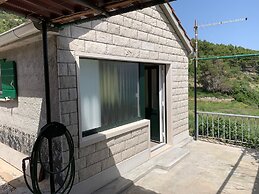House Ivica