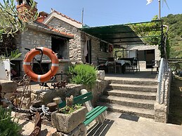 House Ivica
