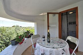 Apartments Petra