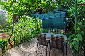 Apartments and Rooms Dotli