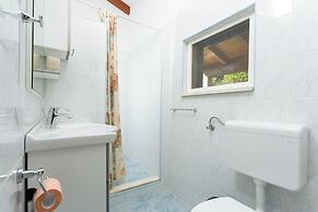 House Ivo