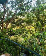 Apartment Nature