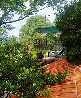 Apartment Nature