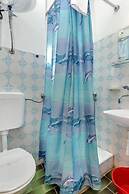 Apartments Igor
