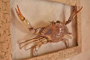 House Robinzon Sea Beauty