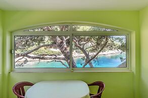 Apartments Olivera