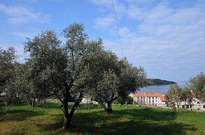 Apartments Ljubomir