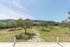 House Hacienda