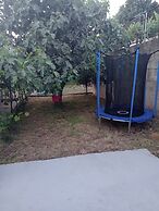 Apartment Robi