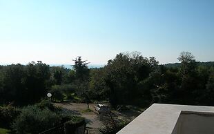 Apartments Sinisa
