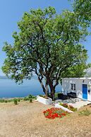 House Deja Blue