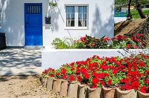House Deja Blue