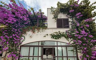 Apartments Natasa