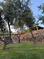 House Stara Kuca-old Stone House