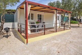 Mobile Home Dandelion