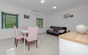 Apartment Roko