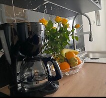Apartment Wolfie