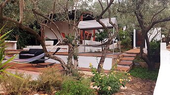 House Oliva