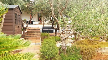 House Oliva