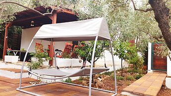 House Oliva