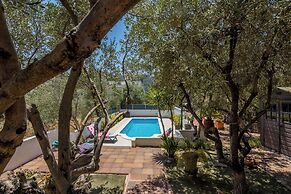 House Oliva