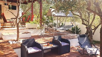 House Oliva