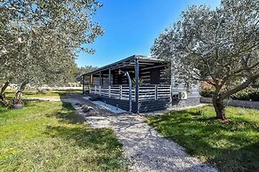 Mobile Home Pen Shell