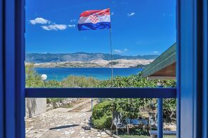 House Silvijo