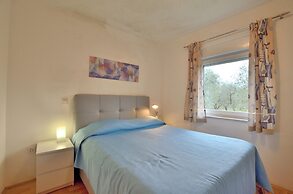 Apartment Amadeo